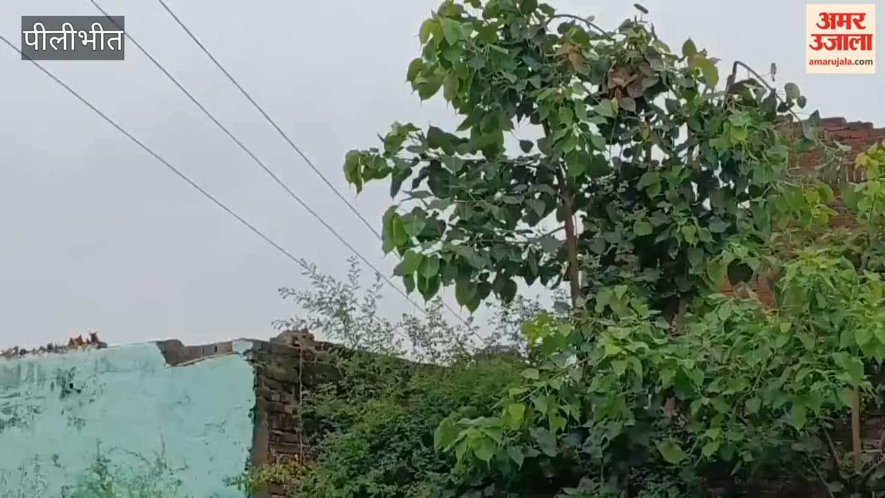 student suffers burns from high-tension line in Barkhera Pilibhit