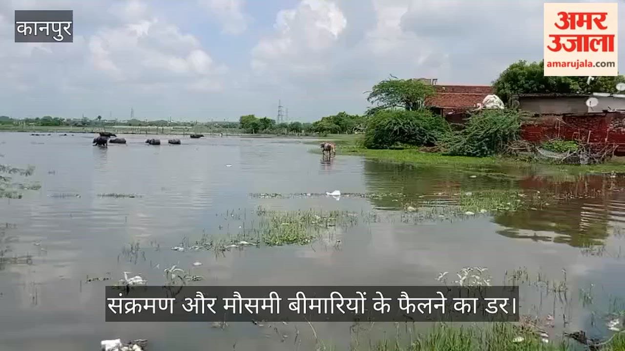 Kanpur Rainwater surrounds villages in the floodplain risk of seasonal diseases breeding