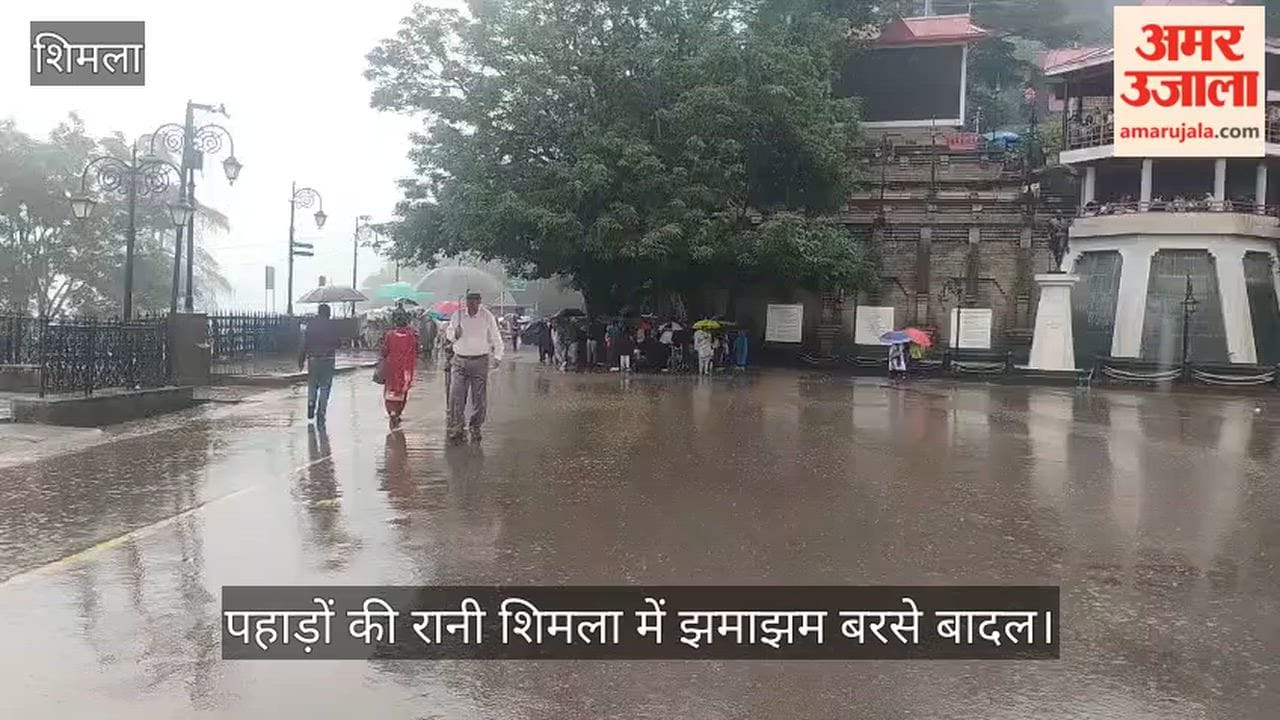 Heavy rain lashes Shimla, the Queen of Hills.