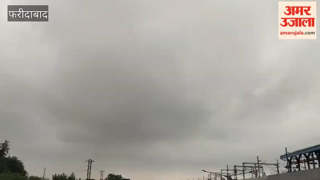 Light rain brings relief from heat in Faridabad