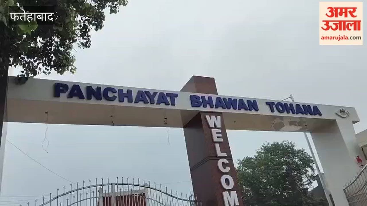Case of 55 trees being felled in 2026 in Tohana, Fatehabad, using permission granted for 2024; allegations of illegal felling