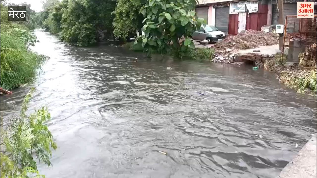 Meerut: Abu Nala overflowing due to rain; water spills onto the road.