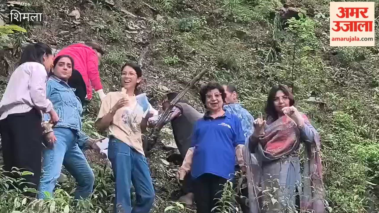 rotary club shimla hills queen tree plantation lower summer hill