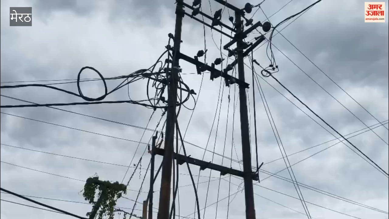 Meerut: Electricity poles along the highway covered with plastic; transformers shielded with wooden poles.