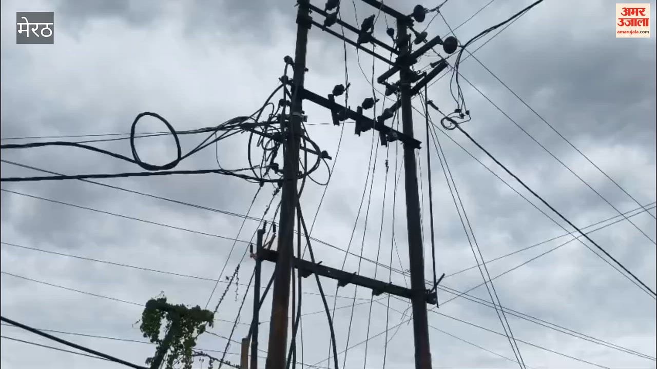 Meerut: Electricity poles along the highway covered with plastic; transformers shielded with wooden poles.
