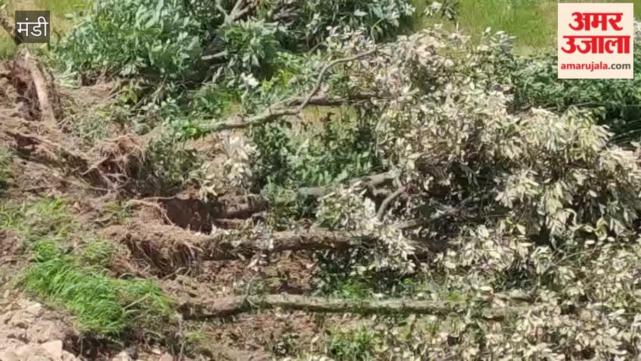 chail chowk retaining wall landslide house risk mandi