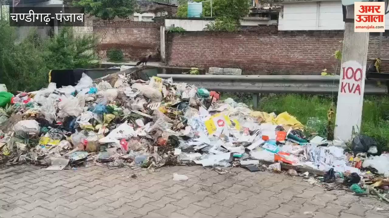Sanitation workers' strike in Kiratpur Sahib continues despite the announcement of a ₹20,500 salary; piles of garbage litter the town
