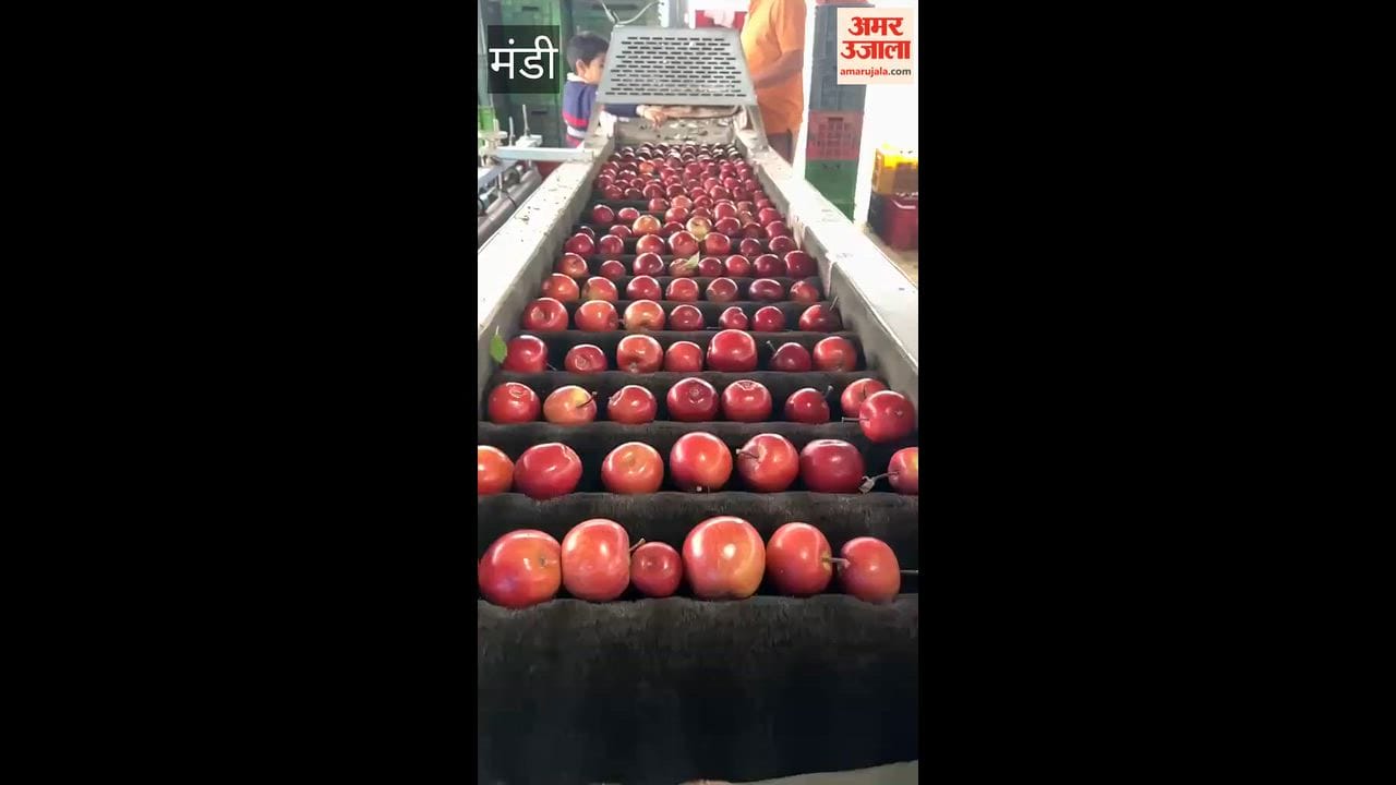 Nachan-Saraj apples reach neighboring markets; cartons sold for ₹2,000–₹2,500