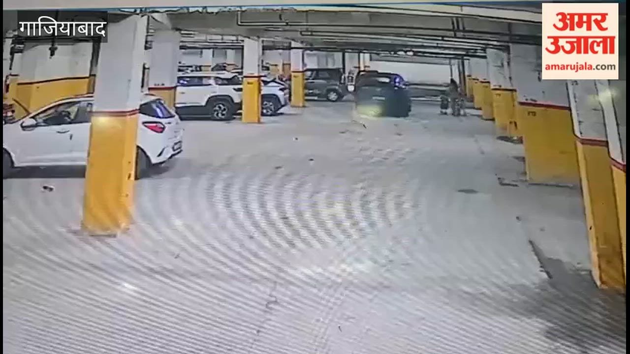 Dog bites three and a half year old girl at Rajnagar Residency in ghaziabad