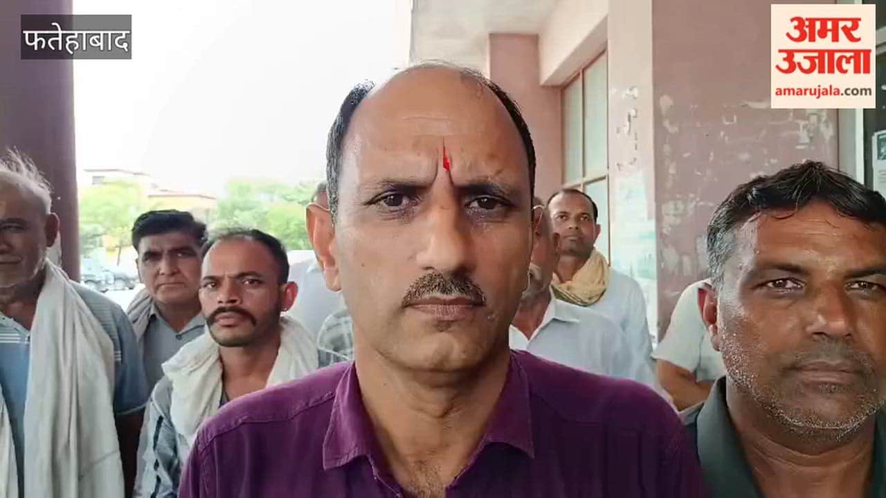 Rotten wheat supplied to ration depots in Fatehabad is emitting a foul odor and contains stones.
