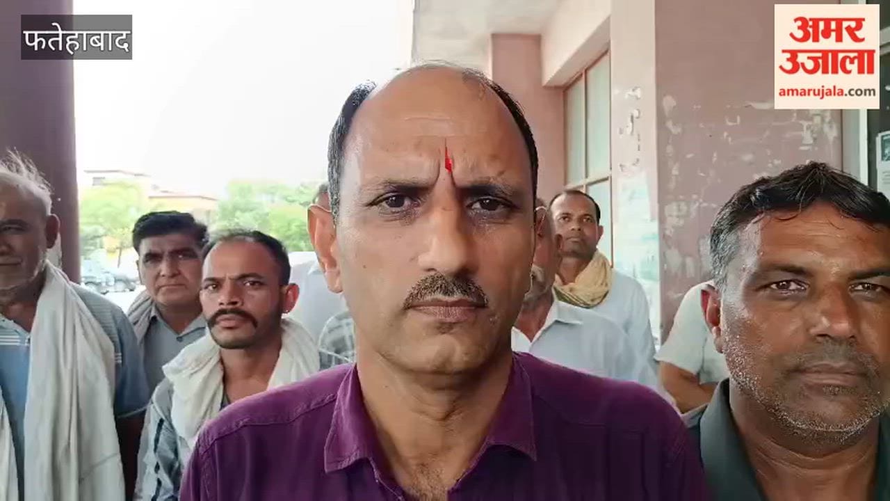 Rotten wheat supplied to ration depots in Fatehabad is emitting a foul odor and contains stones.