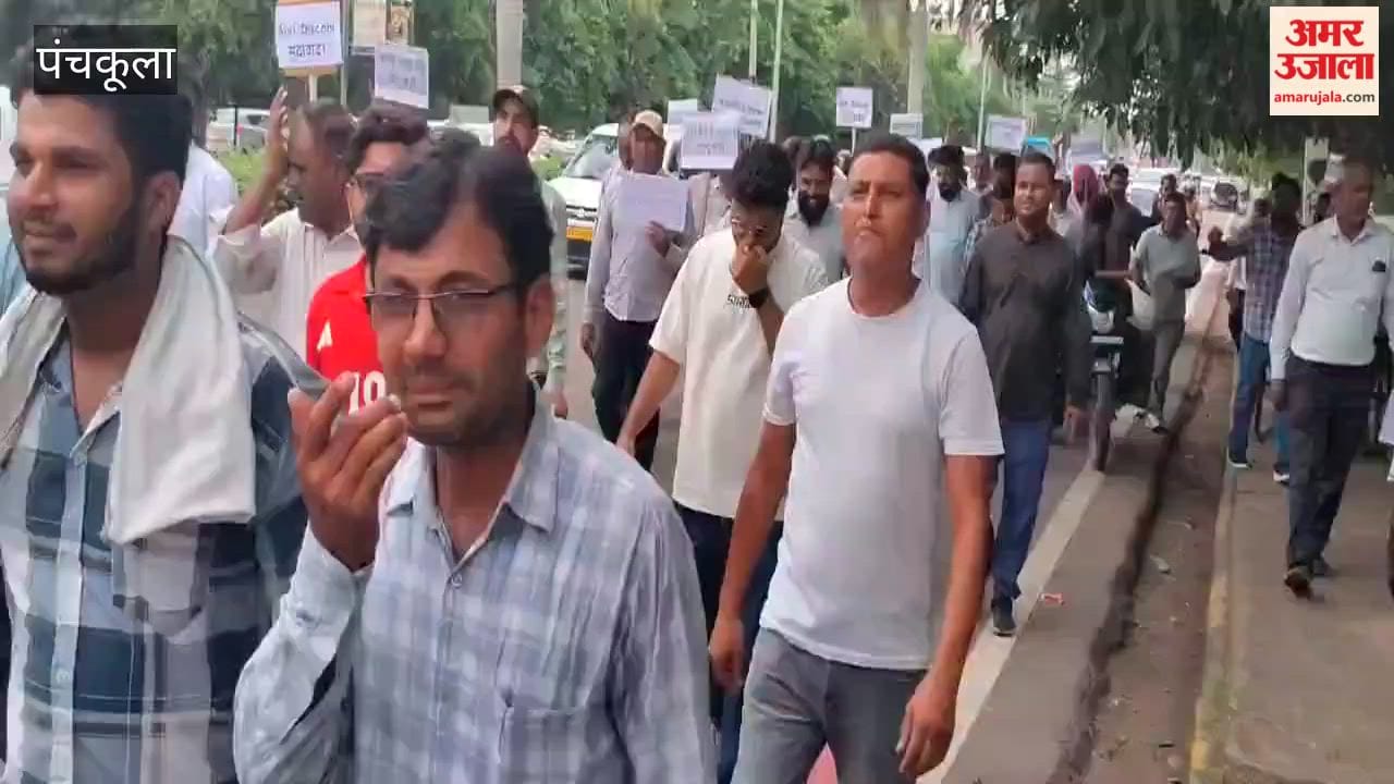 Protest by the Haryana Electricity Employees and Engineering Joint Struggle Front in Panchkula.