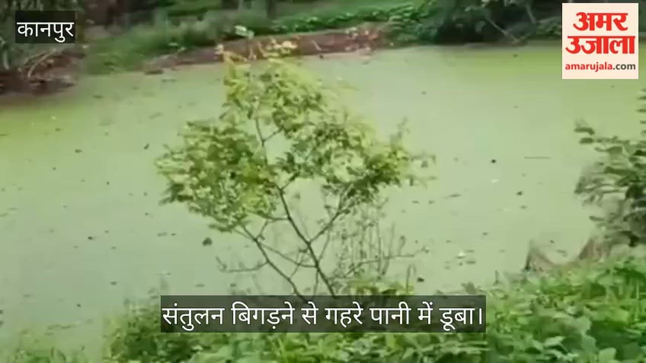Kanpur Differently-abled person dies after drowning in a pond behind his house