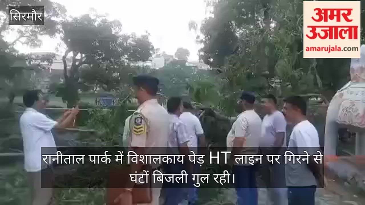 nahan rani tal park tree falls on ht line power outage sirmaur