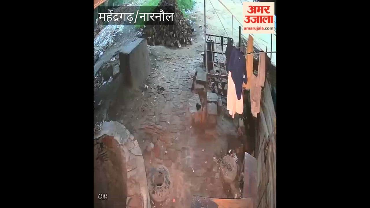 Theft of copper wire from a dhaba and a gas agency in Narnaul captured on CCTV.