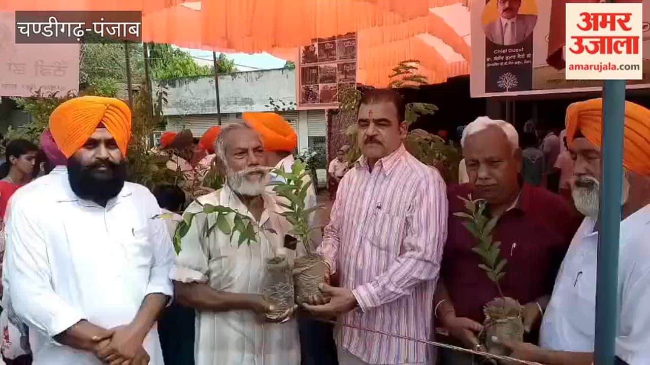 Moga's oldest organization, Khalsa Seva Society, organized a 'langar' (community distribution) of saplings.
