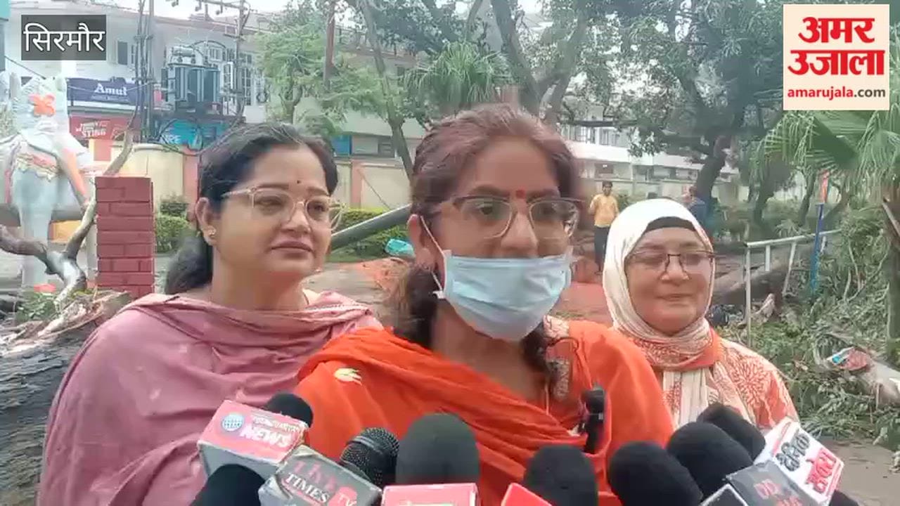 nahan dangerous tree lopping survey ranital sirmaur news