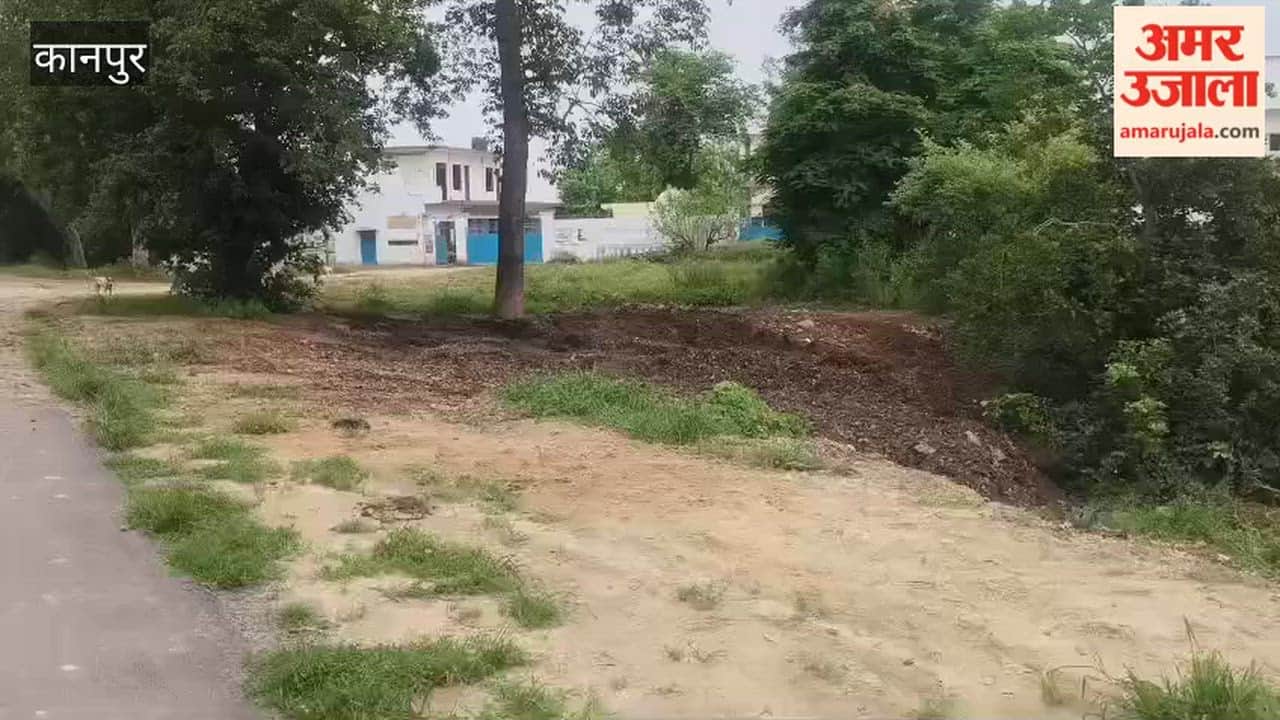 Impact of the report: Rotten potatoes removed from outside RPS Cold Store