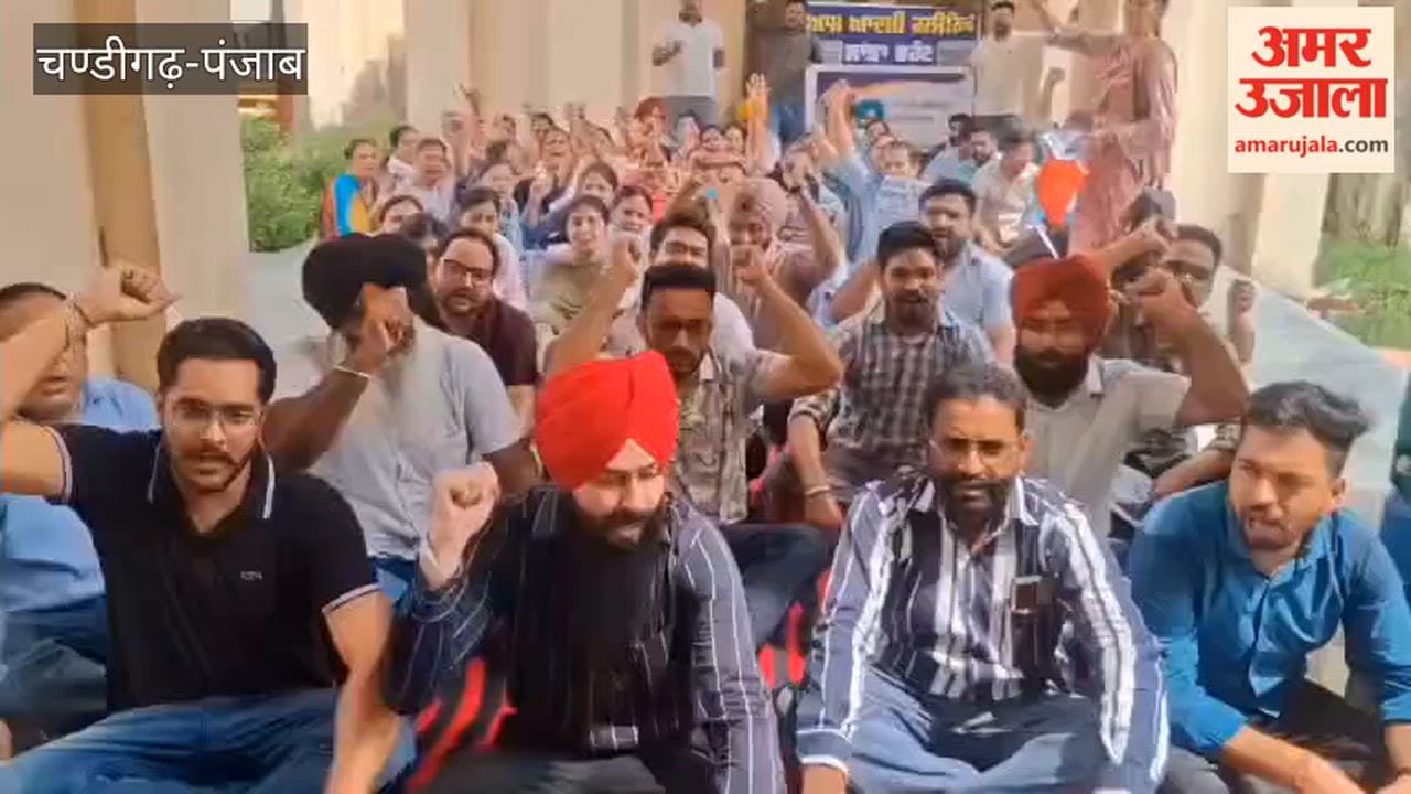 Aam Aadmi Clinic staff stage protest in Ferozepur; patients face inconvenience.