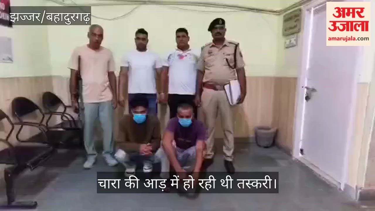 Accused caught with illicit liquor in Jhajjar taken into remand.
