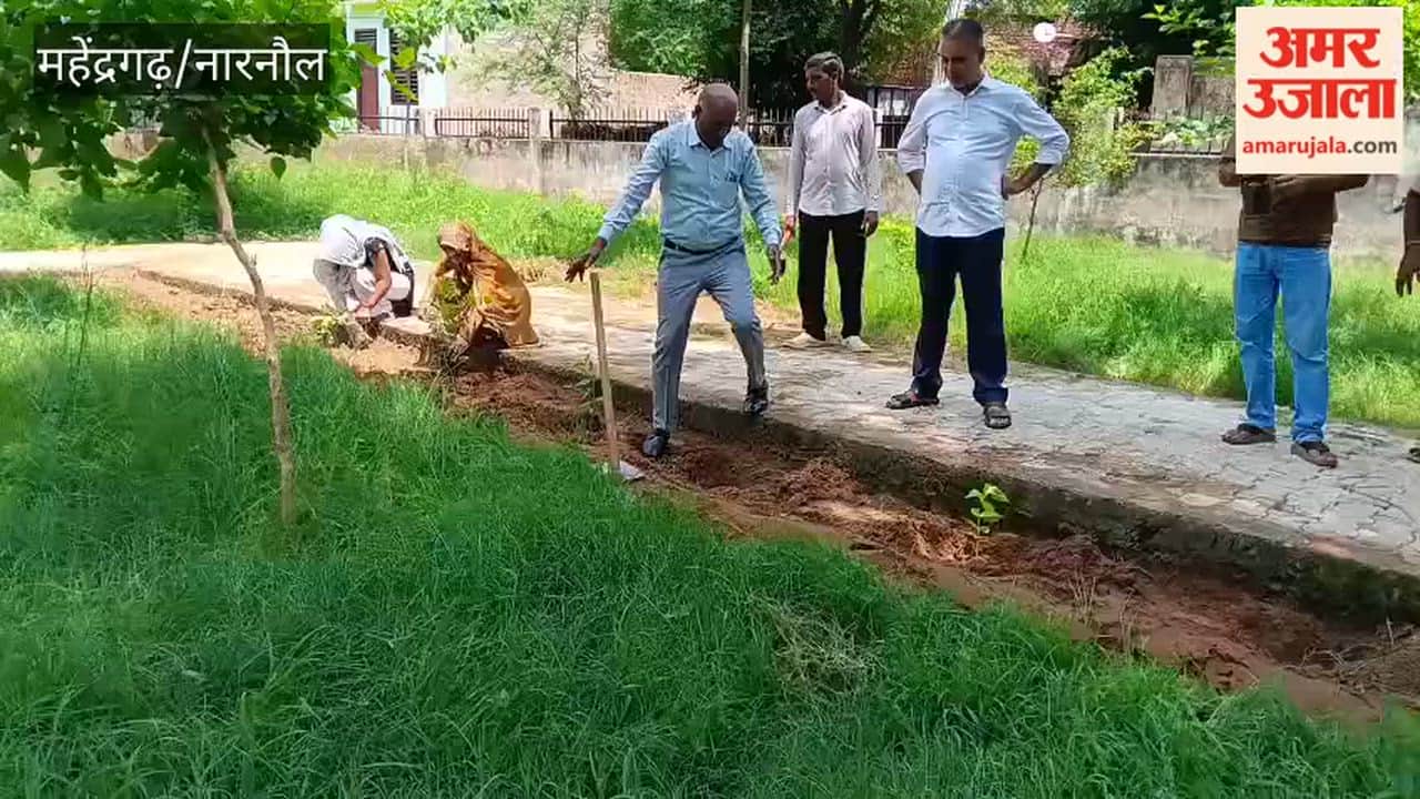 Van Mahotsav held in Narnaul's Gujarwas; pledge taken to plant 300 saplings.