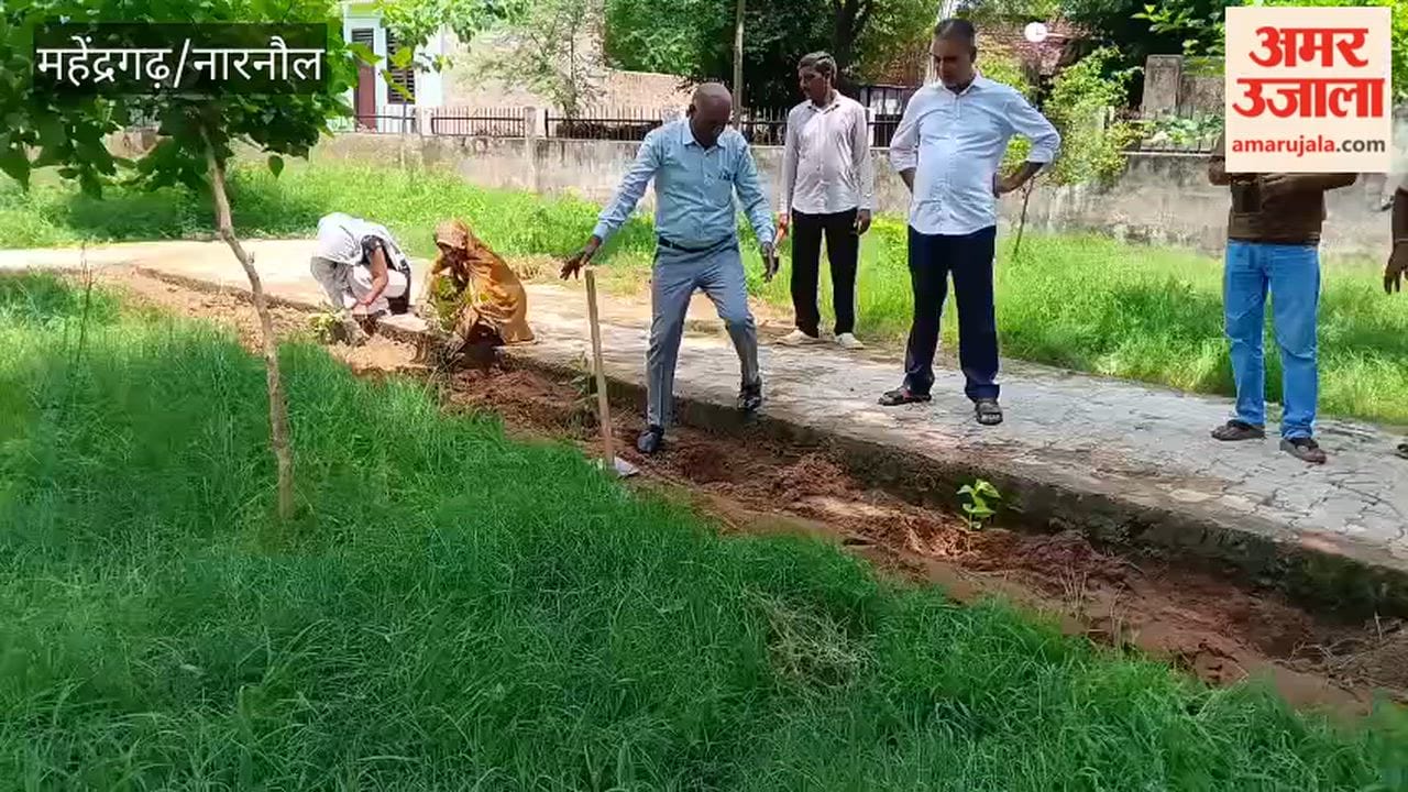 Van Mahotsav held in Narnaul's Gujarwas; pledge taken to plant 300 saplings.