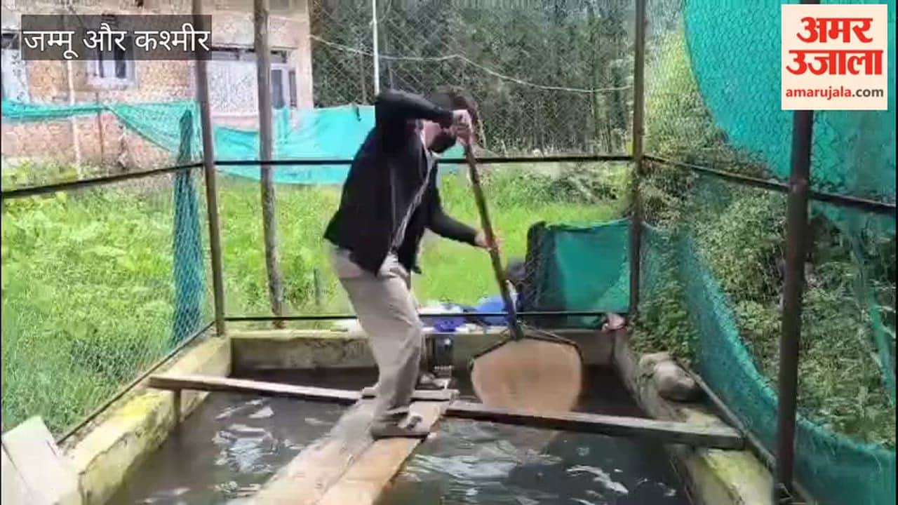 From Freshwater to Fortune: Bandipora Youth Built a Trout Enterprise With Govt Support