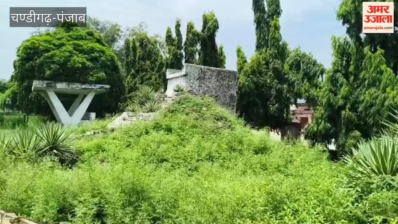 Nangal Township's waterfall to get a new look