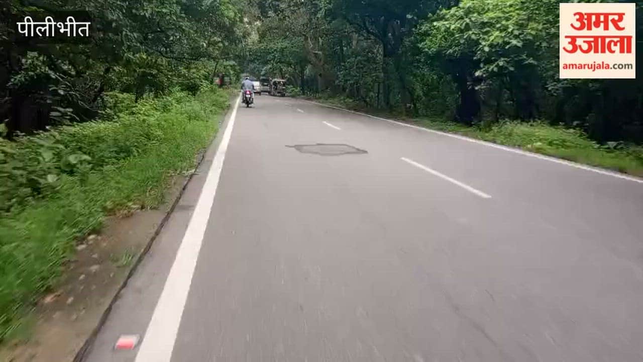 Vehicle speed limit enforced on the highway in Pilibhit Tiger Reserve