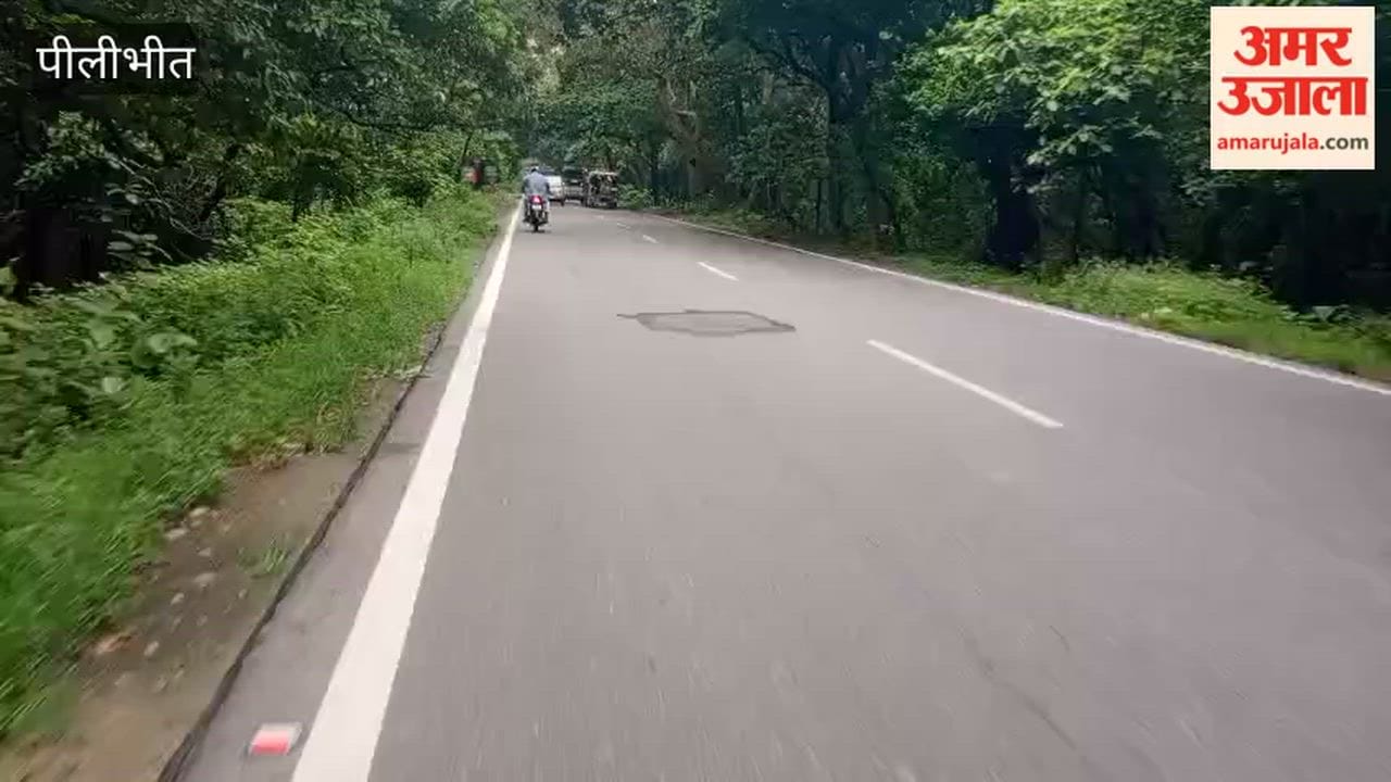 Vehicle speed limit enforced on the highway in Pilibhit Tiger Reserve