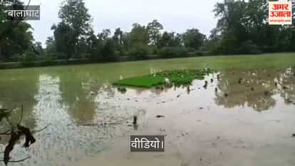 Weather-induced crisis in Balaghat: Rivers and streams overflowing due to incessant rain