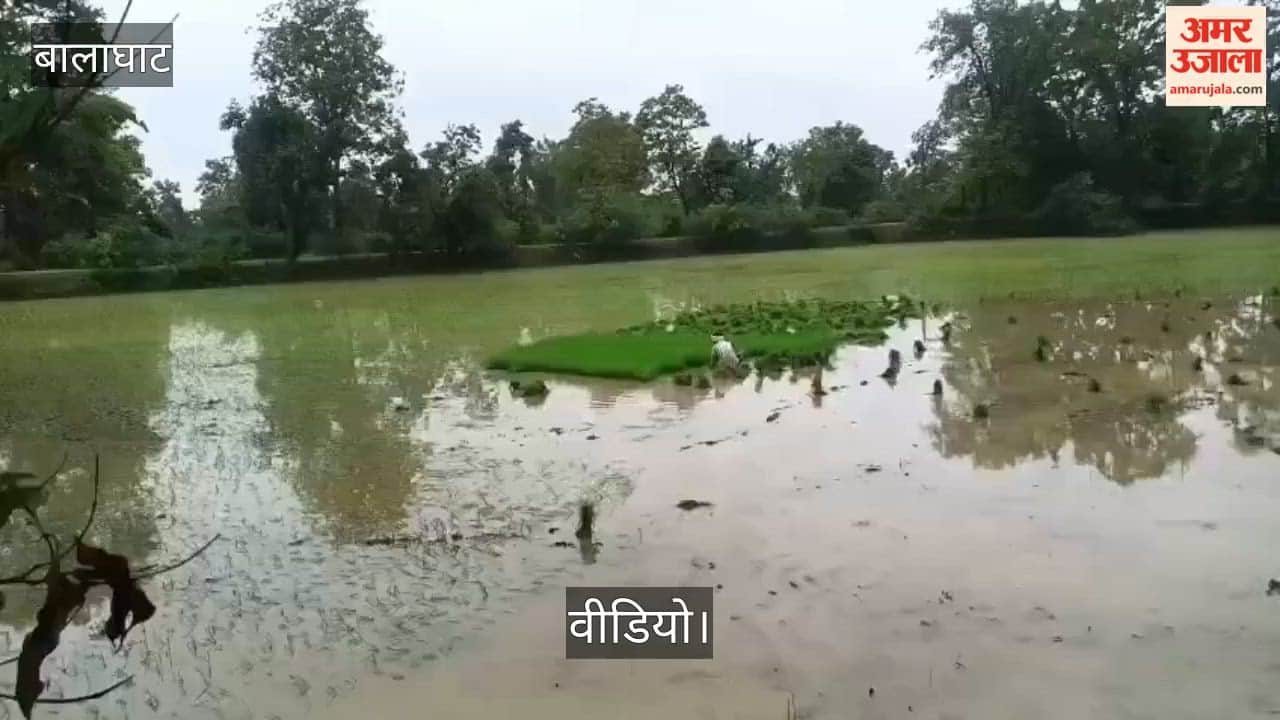 Weather-induced crisis in Balaghat: Rivers and streams overflowing due to incessant rain