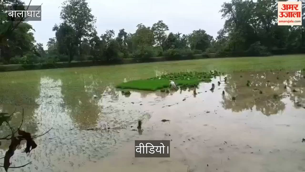 Weather-induced crisis in Balaghat: Rivers and streams overflowing due to incessant rain