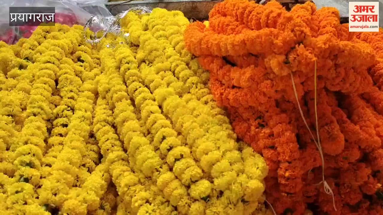 Rambagh becomes fragrant with the arrival of Sawan; flower and garland stalls set up near the Navagraha Temple.
