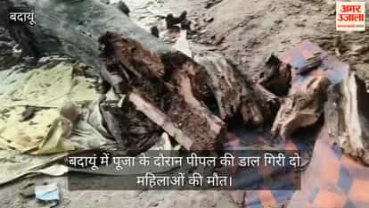 VIDEO Peepal tree branch falls during worship in Badaun two women die
