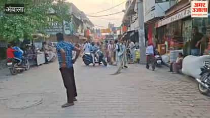 Ambala: Grand Lord Jagannath Rath Yatra organized by ISKCON in Ambala; devotees pulled the chariot.