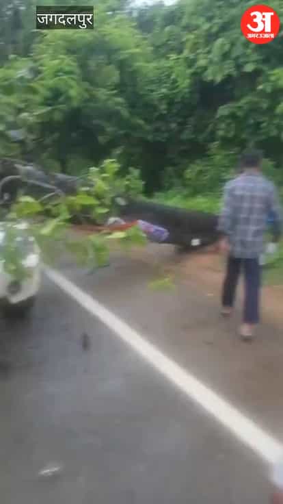 Giant Tree Falls on Pickup in Sukma, Driver Rescued in Swift Police Operation