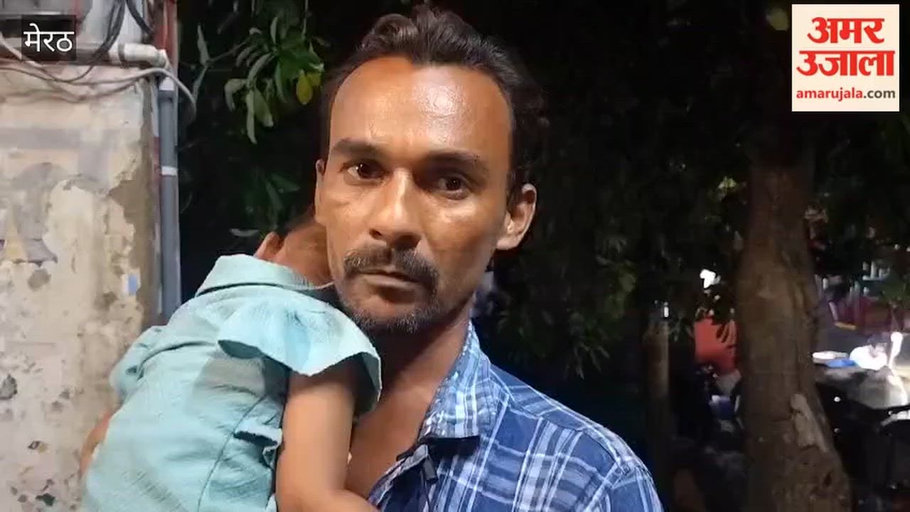 Terror of stray dogs in Meerut, two and a half year old innocent child hunted, seriously injured