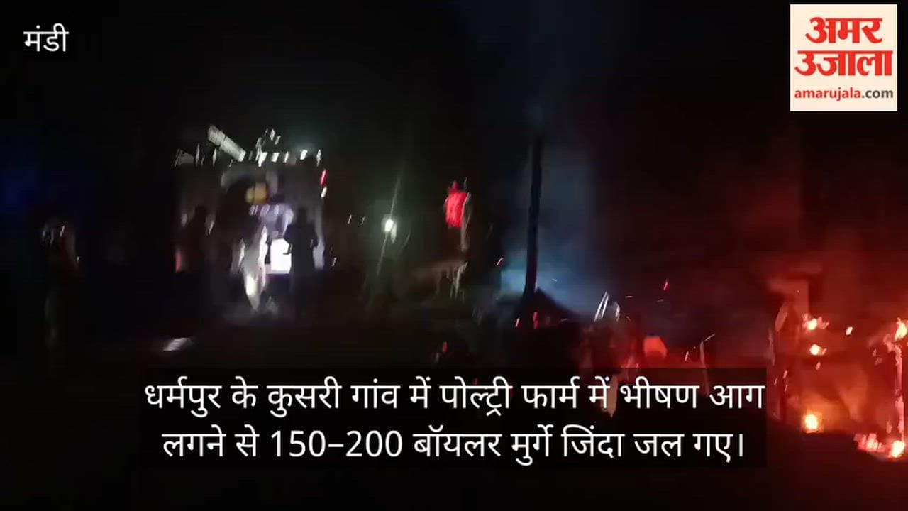 dharmpur kusri poultry farm fire mandi 200 broiler chickens dead
