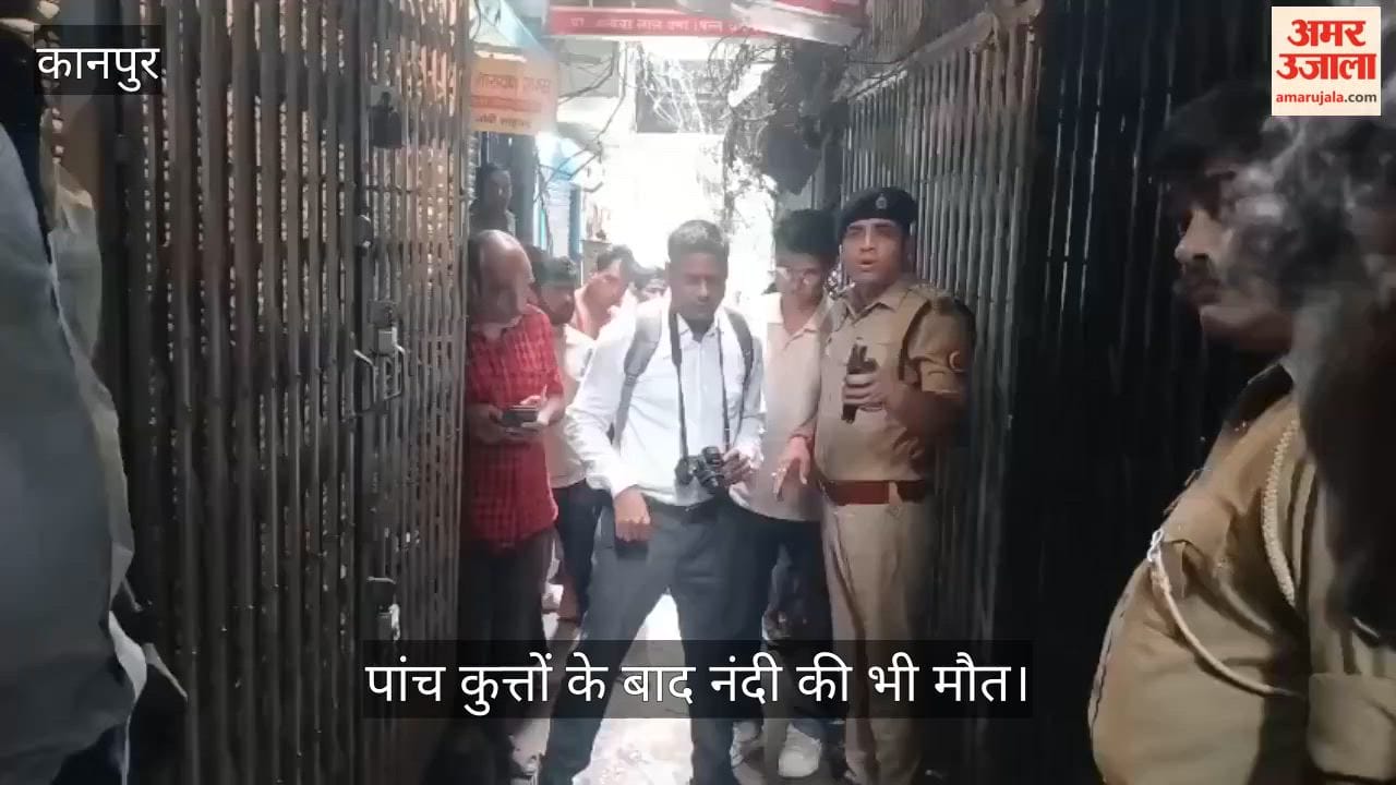 Kanpur-Chowk-Animal-Deaths-Forensic-Team