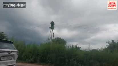 Overgrown creepers have entangled high-tension wires; negligence by the electricity department poses a risk of a major accident