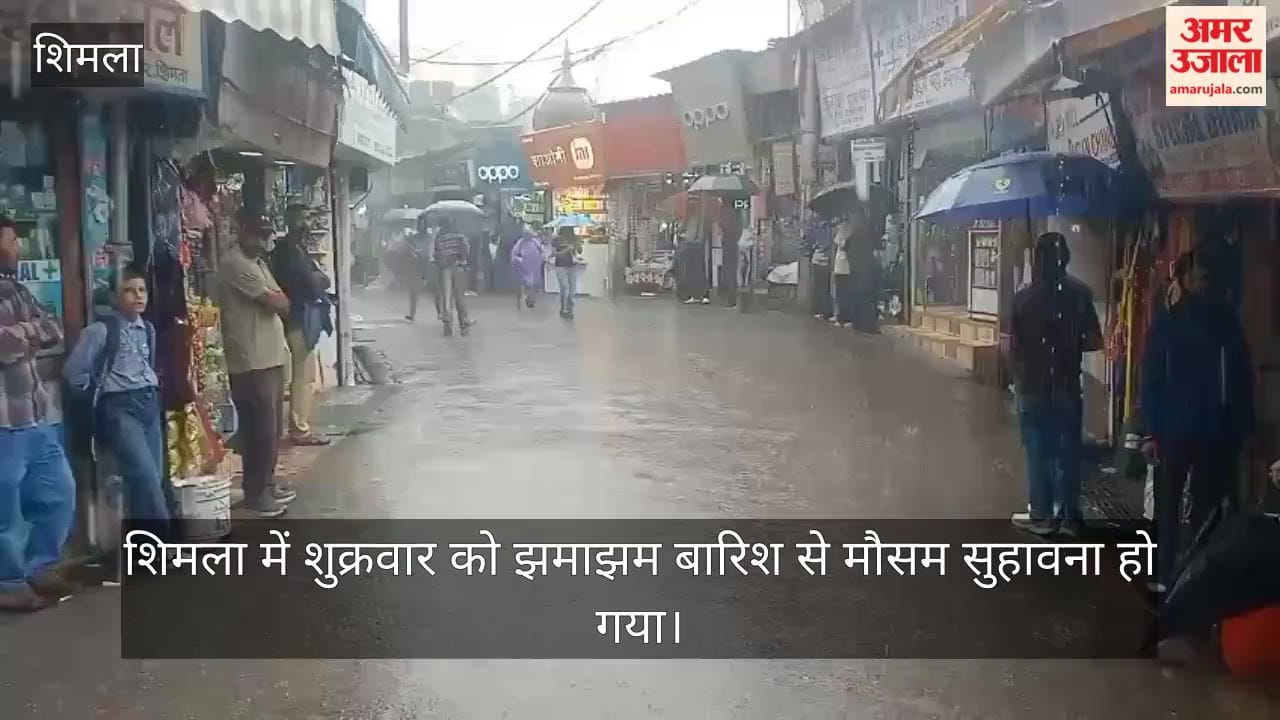 shimla rain weather update july 2026