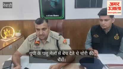 Interstate cattle-lifting gang busted, three notorious criminals arrested; confessed to six incidents, including one in Rewari.