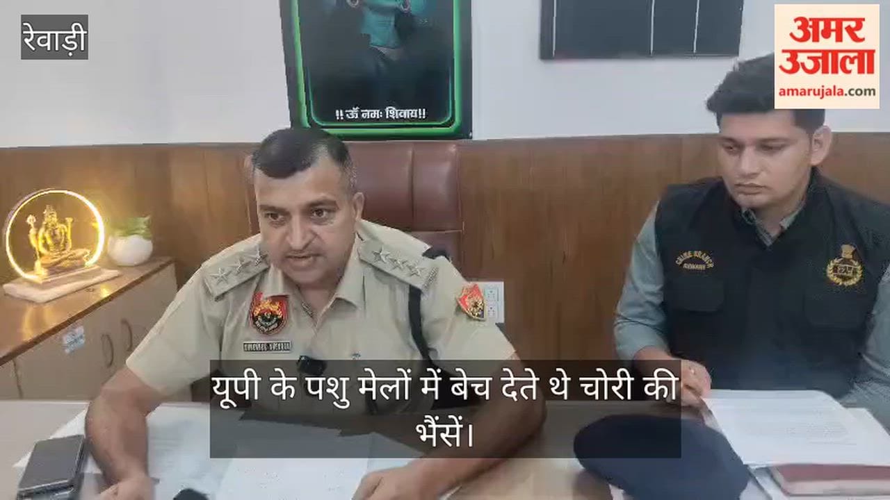Interstate cattle-lifting gang busted, three notorious criminals arrested; confessed to six incidents, including one in Rewari.