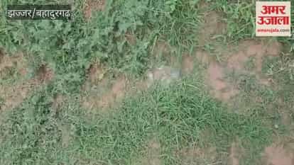 Farmer drowns in JNL Canal after slipping near Beri jhajjar