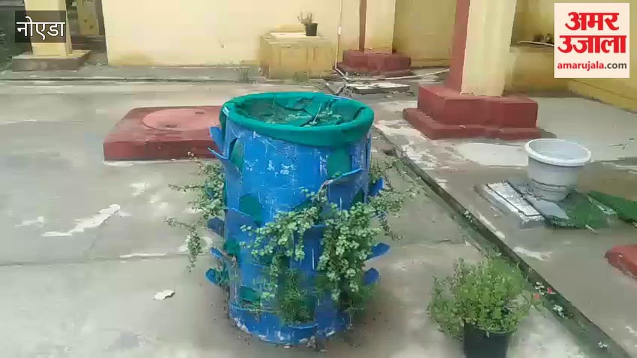 Students of a government college in Noida created a vertical garden using plastic drums