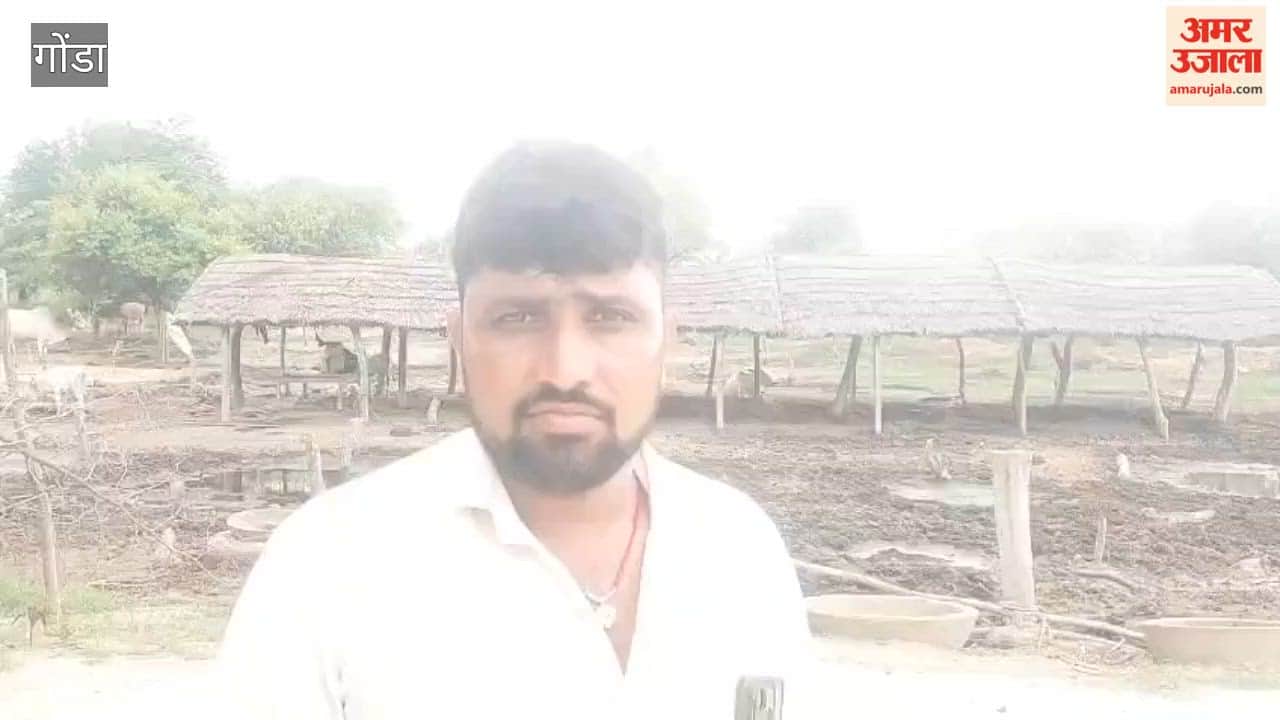 गोंडा में जंगली जानवर के हमले में बछड़े की मौत
