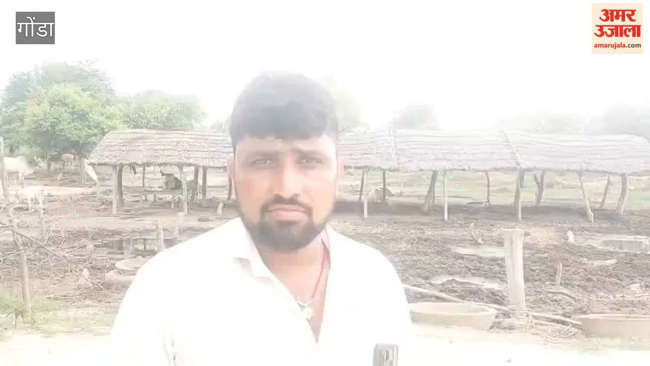गोंडा में जंगली जानवर के हमले में बछड़े की मौत