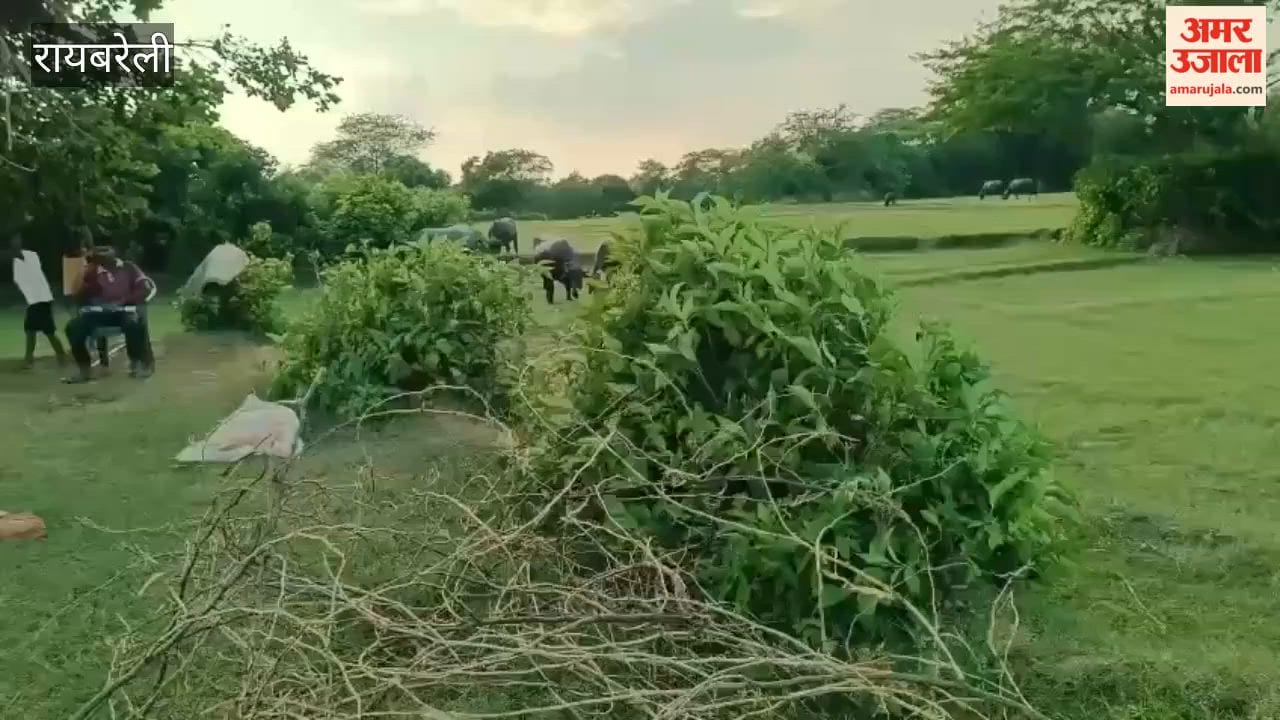 रायबरेली में ओई गांव में कुषाण कालीन सुरंग स्थल को किया गया सुरक्षित, बैरिकेडिंग कराई गई