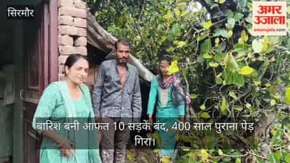 Sirmour: Rain wreaks havoc; 10 roads closed in Sirmour, kitchen destroyed by falling 400-year-old tree.